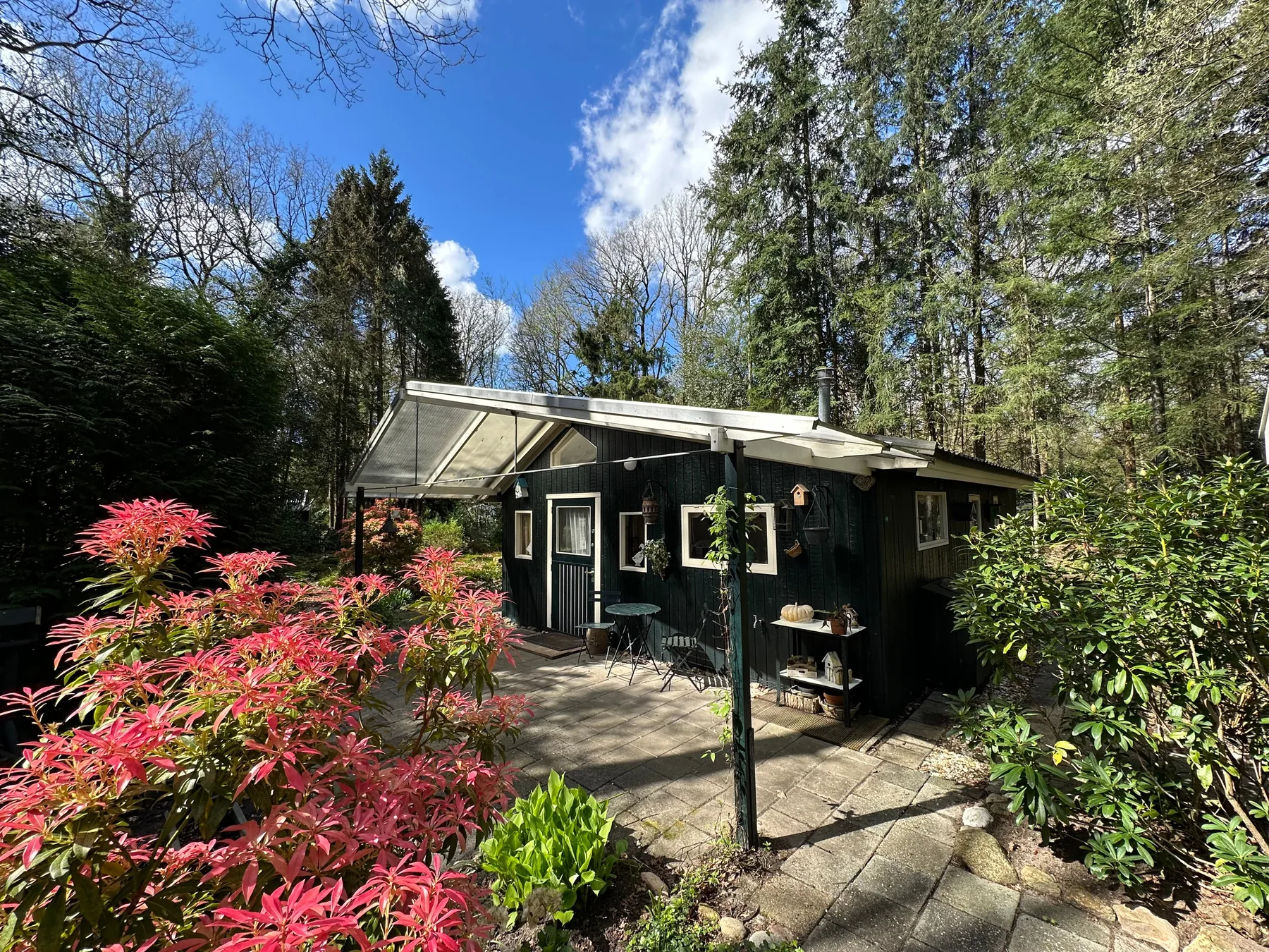 Het chalet met terras tussen de bomen in Norg