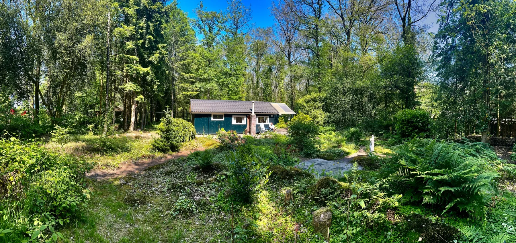 Overzicht van het chalet op het groene perceel